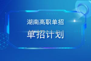 湖南工艺美术职业学院2024年单招计划及专业