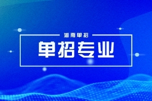 岳阳职业技术学院2024年高职单招招生章程